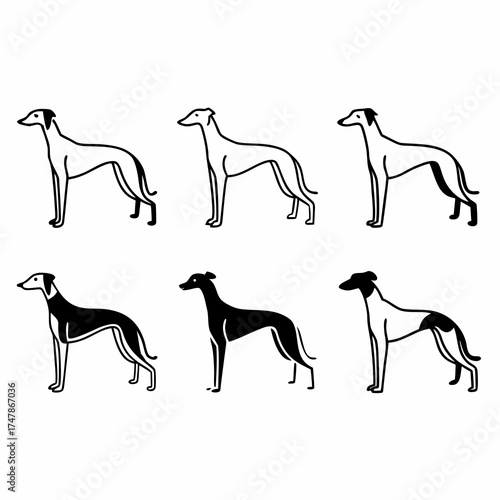 Illustration of six greyhounds in various colors, standing in a row, simple design
