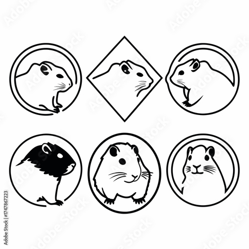 Cute hamster cartoon head in various shapes, vector illustration