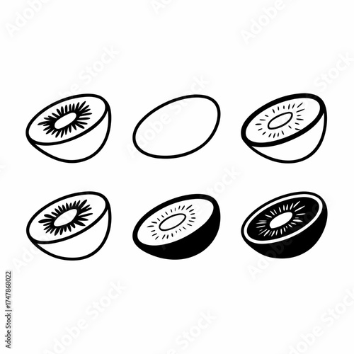 Illustration of six kiwi fruit halves in various styles hand drawn vector