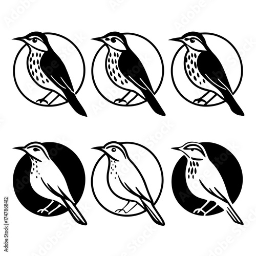 Six song thrush birds in different styles, vector illustration for design