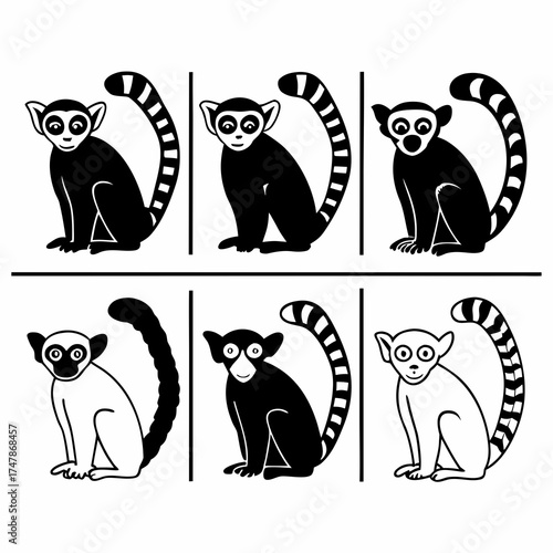 A charming collection of six ringtailed lemurs in various poses, , showcasing their beauty