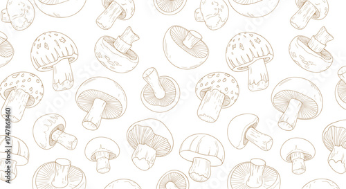 A delicate pattern of hand-drawn mushrooms in a light brown outline scattered across a white background for a natural and organic feel.