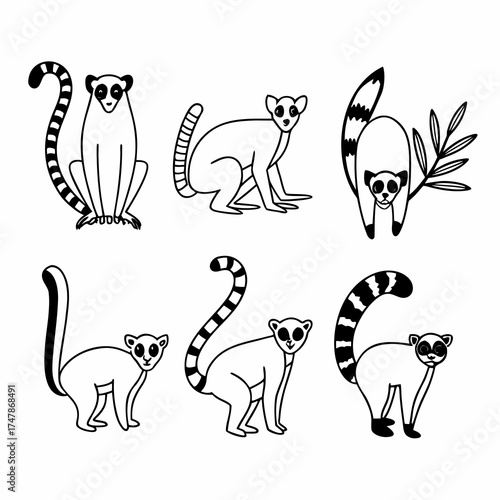 Collection of six cute lemur illustrations in various poses vector line art