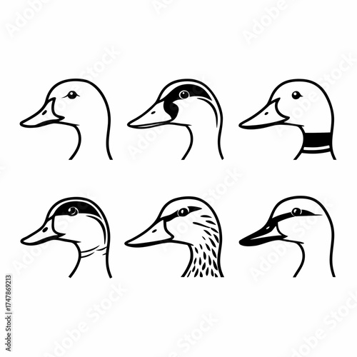 Six duck head illustrations in black and white, showcasing different species and styles