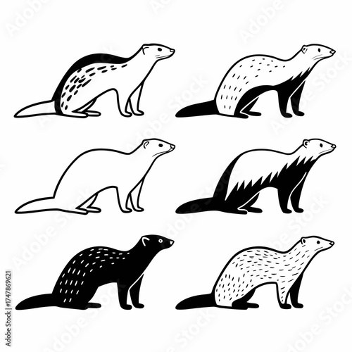 Six cute ferret illustrations in various poses for design elements and patterns