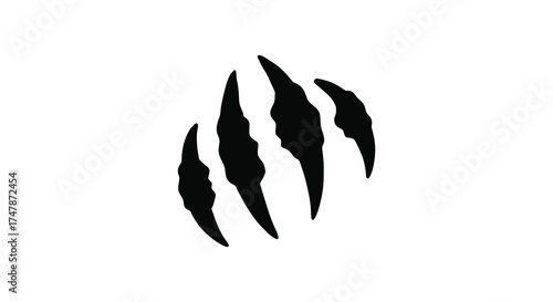 Jagged black animal claw marks scratches isolated on grunge texture effect silhouette