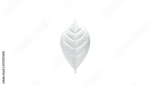 A glossy, white leaf with detailed veins stands alone against a black background