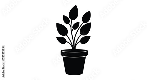 Silhouette of a potted houseplant with lush leaves and sturdy stem in a simple pot silhouette