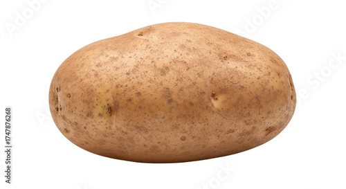 Isolated brown potato with rough skin ready to cook, farm fresh uncooked produce