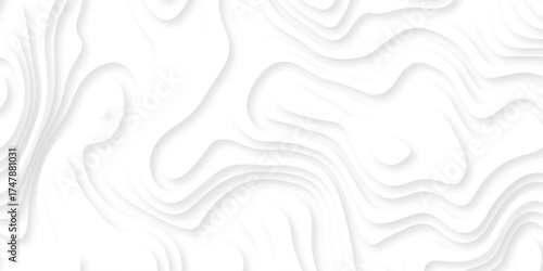 Abstract background vector Abstract wavy line 3d paper cut white background. Abstract pattern with lines. Abstract sea map geographic contour map and topographic contours map background.