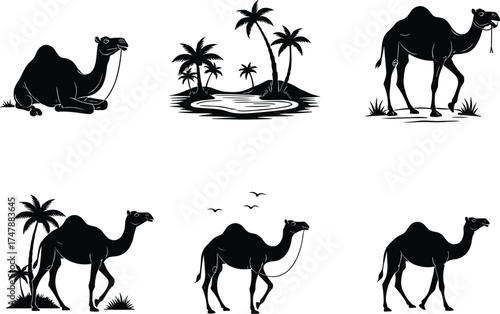 Camel silhouette desert scene, oasis palm trees, walking camel, sitting camel, wildlife illustration, black white vector art, cultural landscape