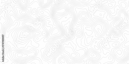 Black and white lines seamless Topographic map patterns, topography line map. Vintage outdoors style. The stylized height of the topographic map contour in lines and contours isolated on transparent.	