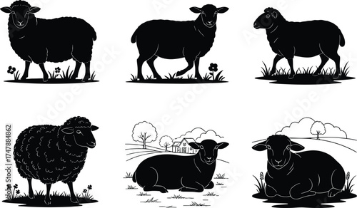 Black sheep silhouettes standing, walking, lying on grass with flowers, rural farm landscape, countryside hills, wool texture, livestock illustration, agriculture design