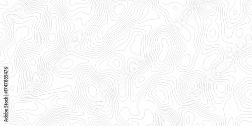 Black and white lines seamless Topographic map patterns, topography line map. Vintage outdoors style. The stylized height of the topographic map contour in lines and contours isolated on transparent.	