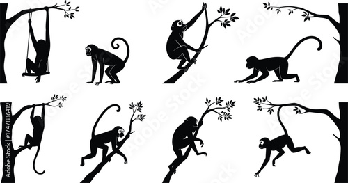 Monkey silhouettes climbing, hanging, swinging, sitting on tree branches, wildlife illustration, jungle animals, primate behavior, nature vector, black design art