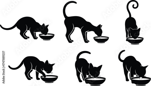 Cat silhouette illustration, black feline drinking eating bowl, pet feeding posture, animal behavior vector, domestic kitten graphic design, food water dish