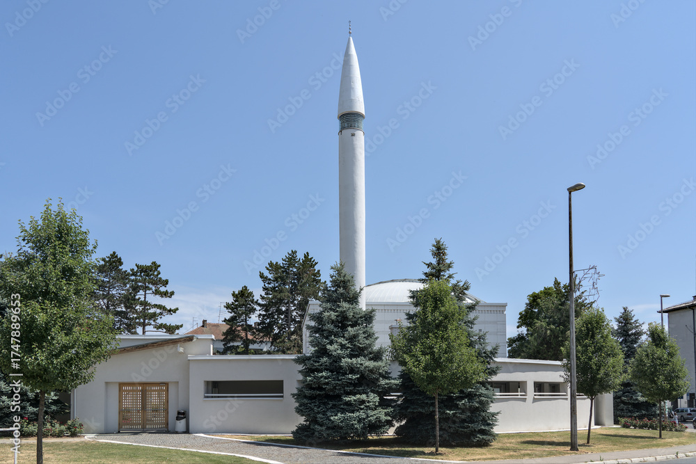 Obraz premium Bosnia and Herzegovina, Brčko, Kolobara: White Mosque