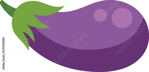 Ripe eggplant with glossy skin and green stalk, representing healthy eating and vegetarian diet