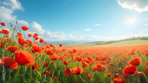 Vibrant Red Poppy Field Landscape under Sunny Sky