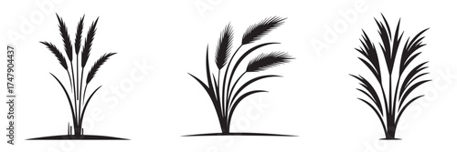 Nature Landscape Outdoor Desert Grass Icon, Flat Silhouette of an Outdoor Scenery Vector for Adventure Illustration Design