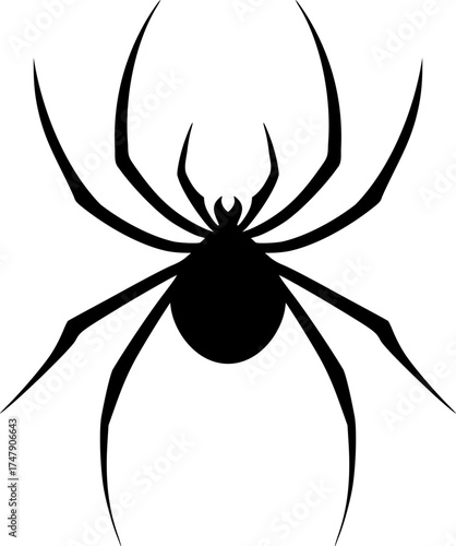 Creative design of spider draw