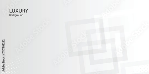 Abstract background  Grey white  geometry shine and layer element vector for presentation design. Suit for business, corporate, institution, party, festive, seminar,