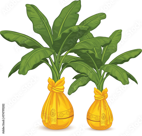 Illustration of Banana Trees Wrapped in Cloth