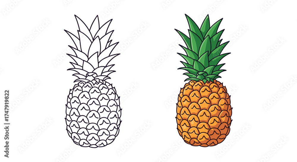 Obraz premium Learn how to draw a pineapple a step by step tutorial