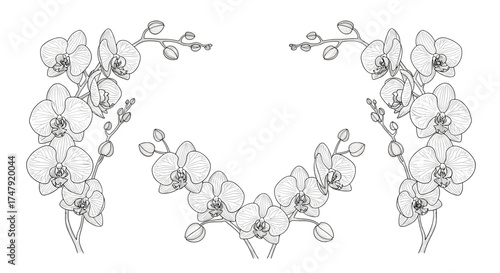 A delicate floral arrangement of orchids in a symmetrical pattern.