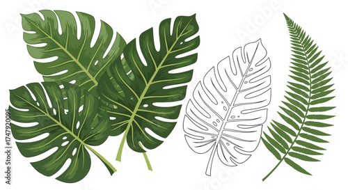 Green tropical plant leaves with intricate veins and fern fronds.