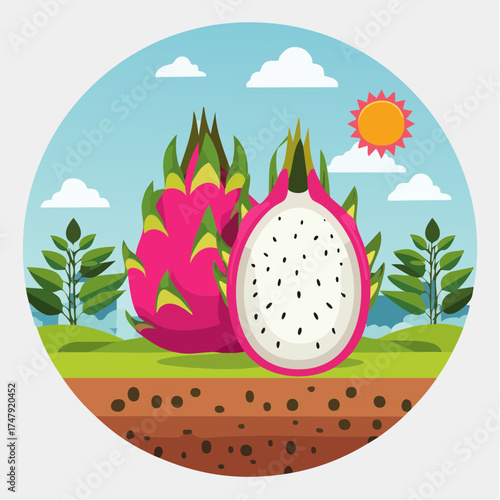 vector illustration of an apple