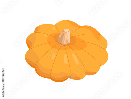 Icon of ripe organic squash or patisson. Pumpkin, orange gourd for eating. Farm vegetable, healthy food. Agriculture crop, autumn harvest. Flat isolated vector illustration on white background