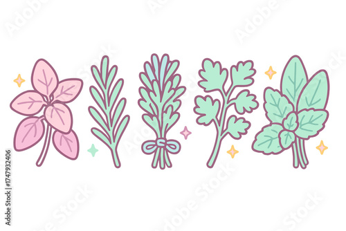 Cute pastel collection of fresh culinary herbs including basil rosemary sage and parsley