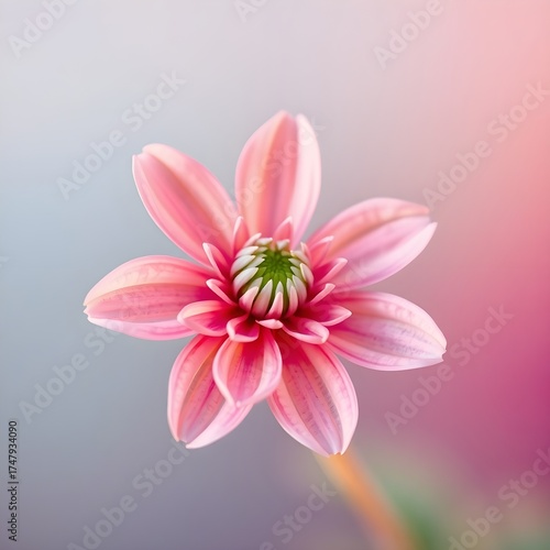 A pink flower is the main focus of the image. 