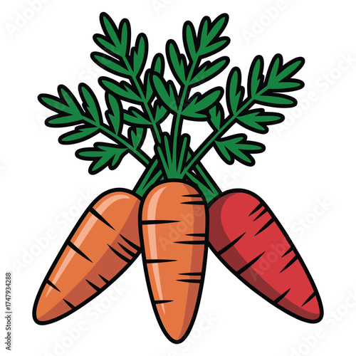 Illustration of three carrots with green tops, vibrant and colorful