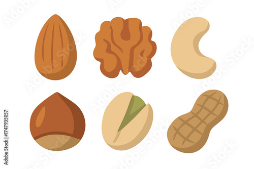 Collection of various healthy edible nuts: almond, walnut, cashew, hazelnut, pistachio, and peanut