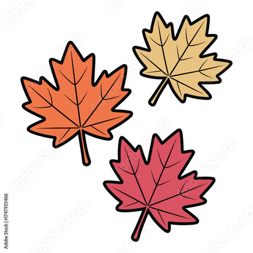 Illustration of three colorful maple leaves, representing autumn season
