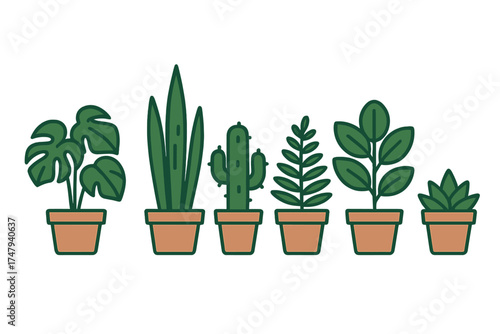 Six popular indoor potted houseplants in terracotta pots arranged in a row