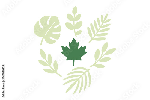 Minimalist collection of various green leaves and botanical elements in a circular composition