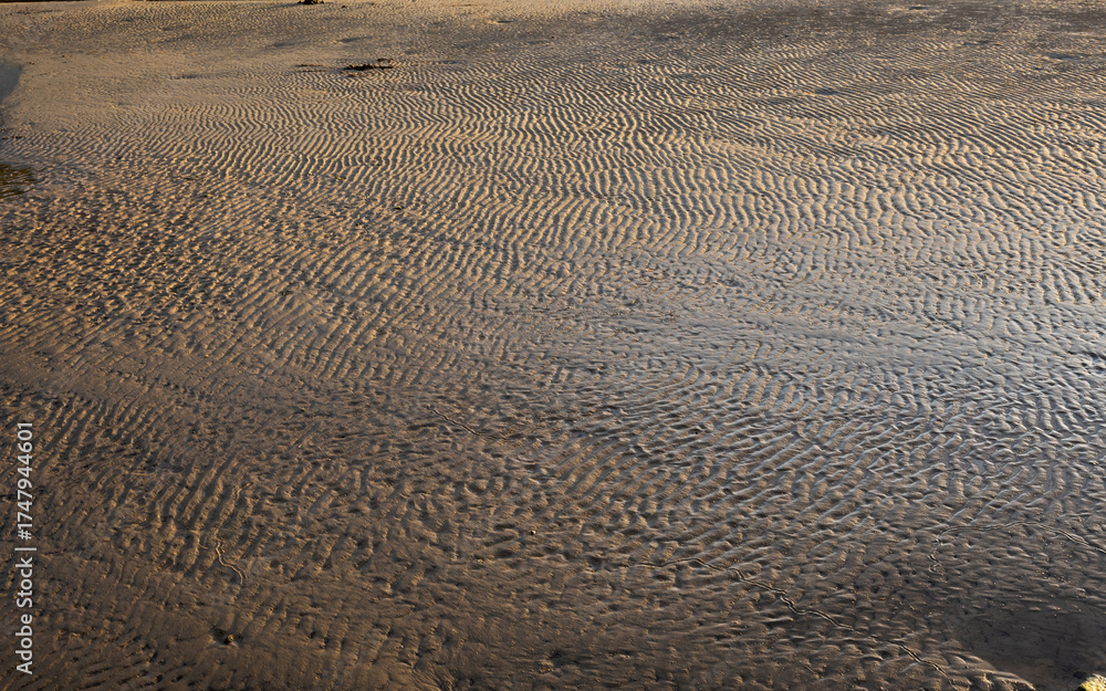 Fototapeta premium Sand ripple