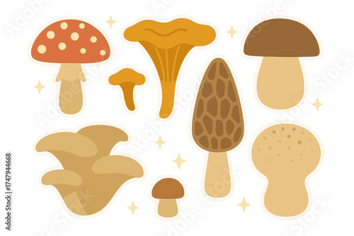 Cute sticker style collection of various wild mushrooms and fungi species