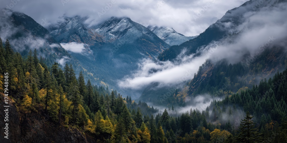 Obraz premium Majestic Mountains in Fog: A breathtaking panorama of towering peaks and lush forests veiled in a misty, ethereal fog, creating a scene of serene natural beauty.