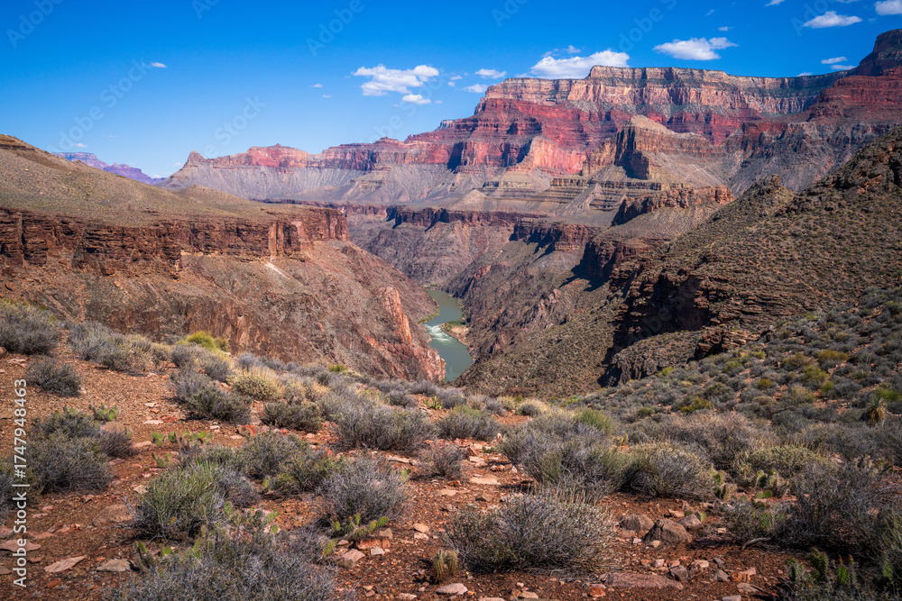 Fototapeta premium hiking in grand canyon national park in arizona, usa