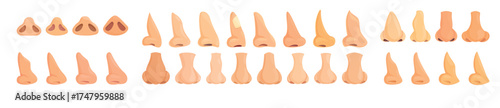 rhinoplasty icon cartoon vector human nose
