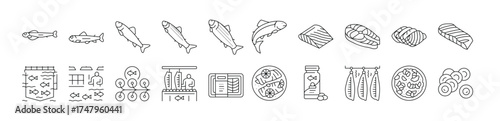 salmon fish delicious seafood icons set vector