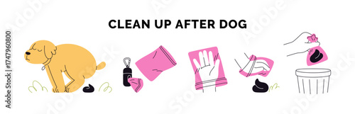 Clean up after dog, infographic. Puppy pooing, poop cleanup with hand and bag, throwing collected feces to trash bin. Pet waste, hygiene. Flat vector illustration isolated on white background.