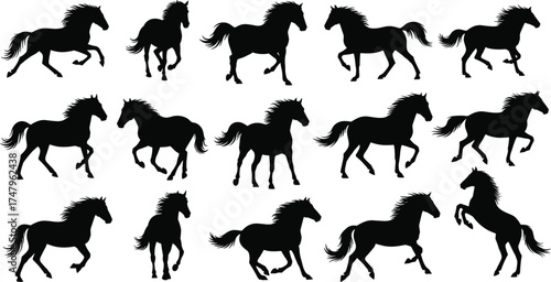 Horse silhouette collection, galloping horse poses, rearing horse vector, trotting horse clipart, black horse icons, animal motion graphics, flat vector illustration
