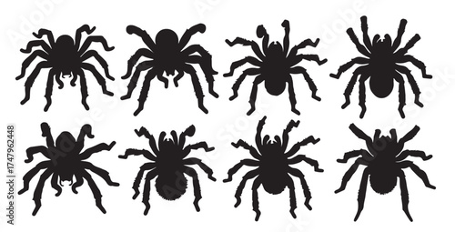 spiders silhouette set on white background vector illustration