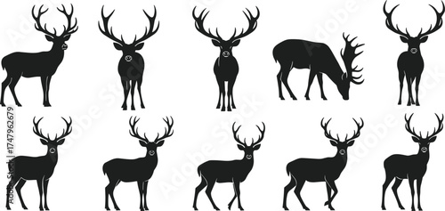 deer silhouette, stag pose, antler collection, woodland animal, forest wildlife, nature icon, bold contrast, flat vector illustration