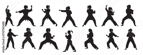  karate girls silhouette white background vector illustration